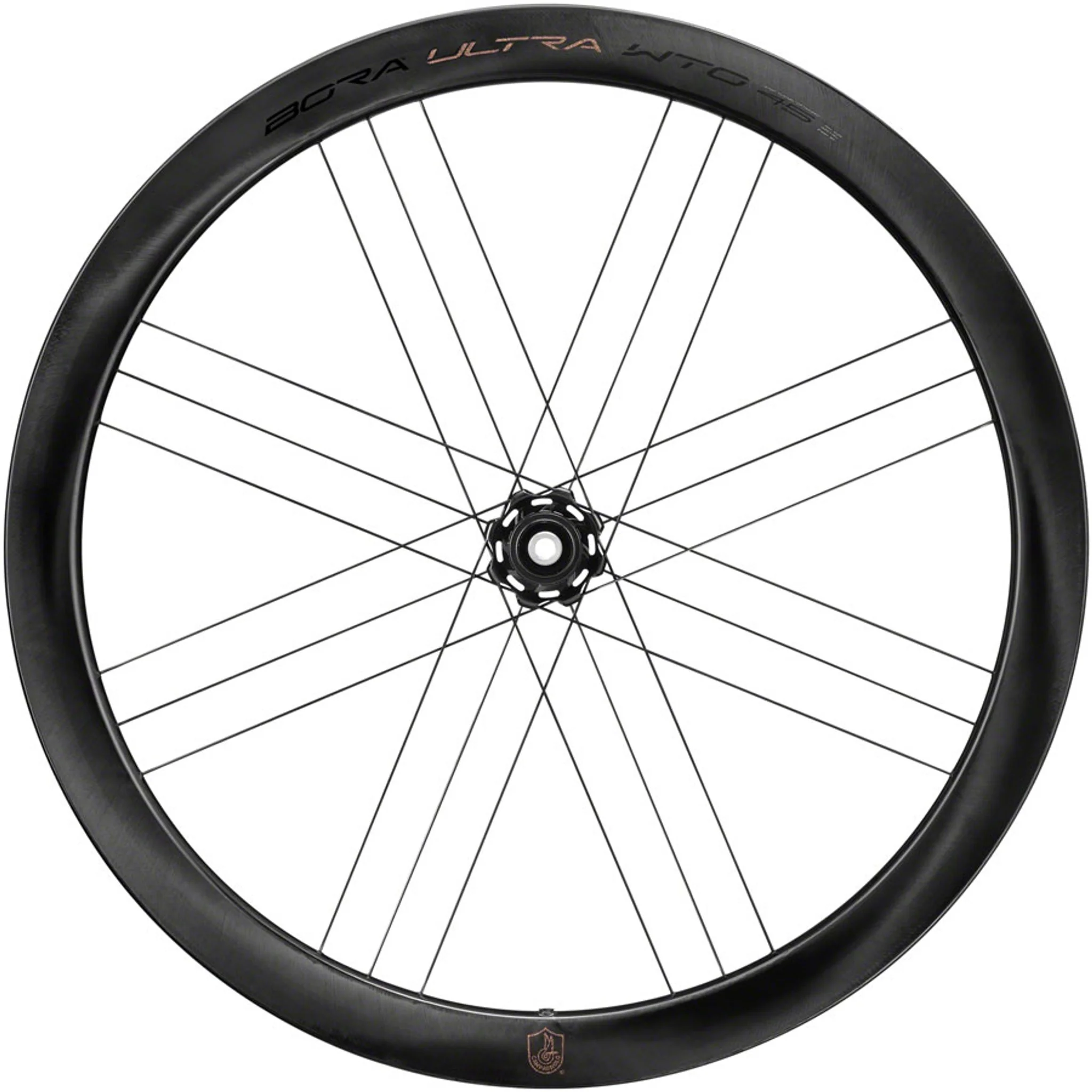 Campagnolo Bora Ultra WTO 45 Front Wheel - 700c, 12 x 100mm, Center-Lock, 2-Way Fit, Gray
