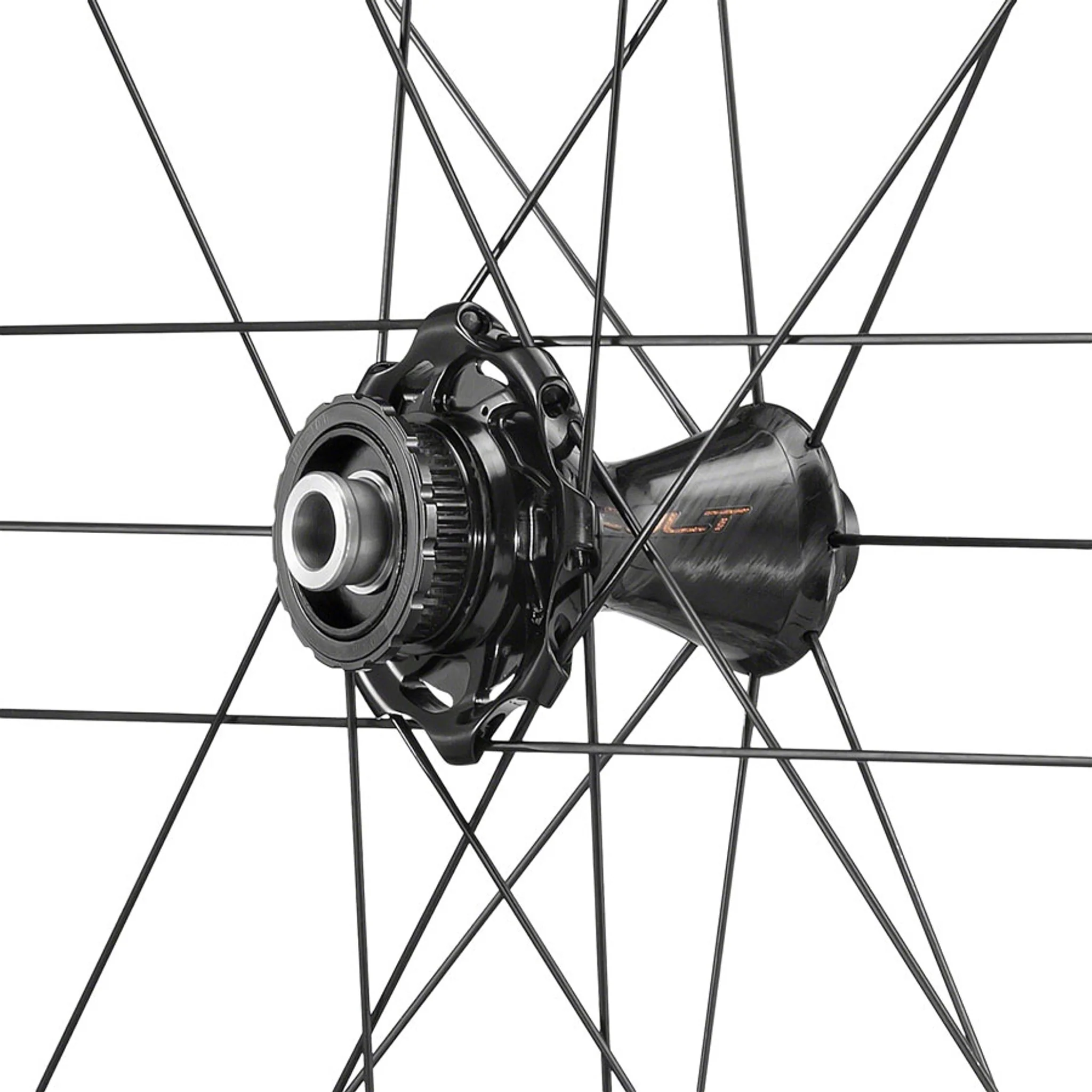 Campagnolo Bora Ultra WTO 45 Front Wheel - 700c, 12 x 100mm, Center-Lock, 2-Way Fit, Gray - Image 2