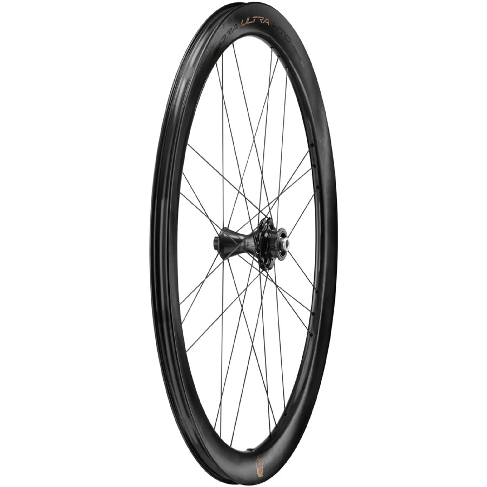Campagnolo Bora Ultra WTO 45 Front Wheel - 700c, 12 x 100mm, Center-Lock, 2-Way Fit, Gray - Image 3
