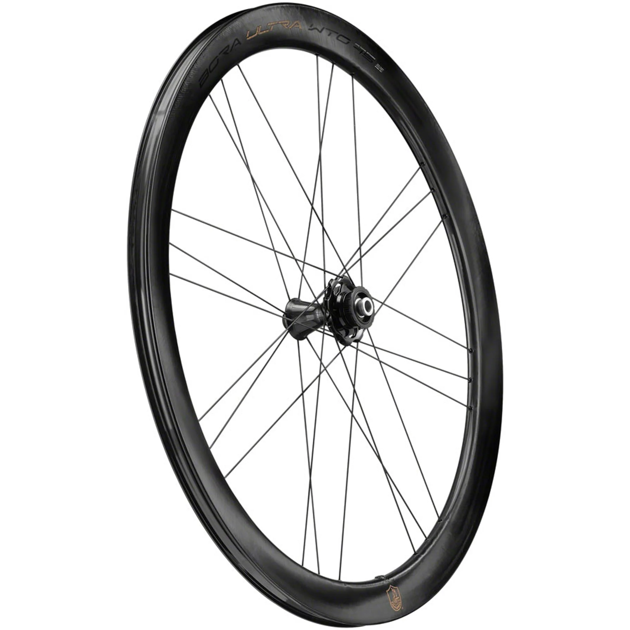 Campagnolo Bora Ultra WTO 45 Front Wheel - 700c, 12 x 100mm, Center-Lock, 2-Way Fit, Gray - Image 4