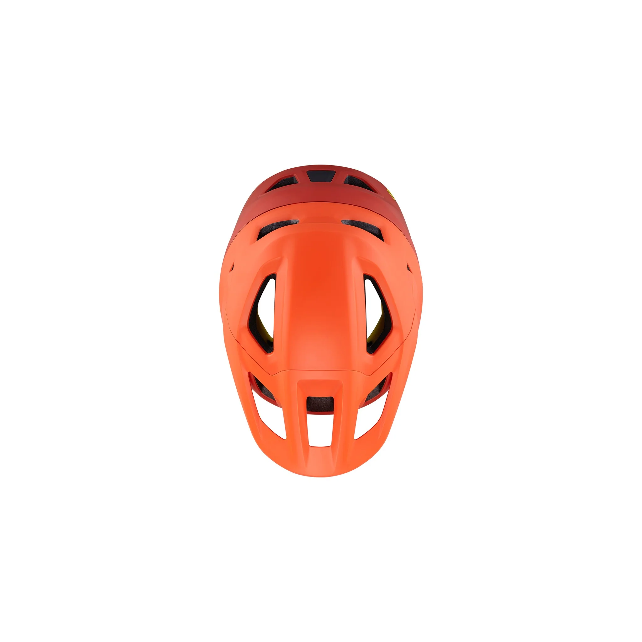 Camber - Image 6