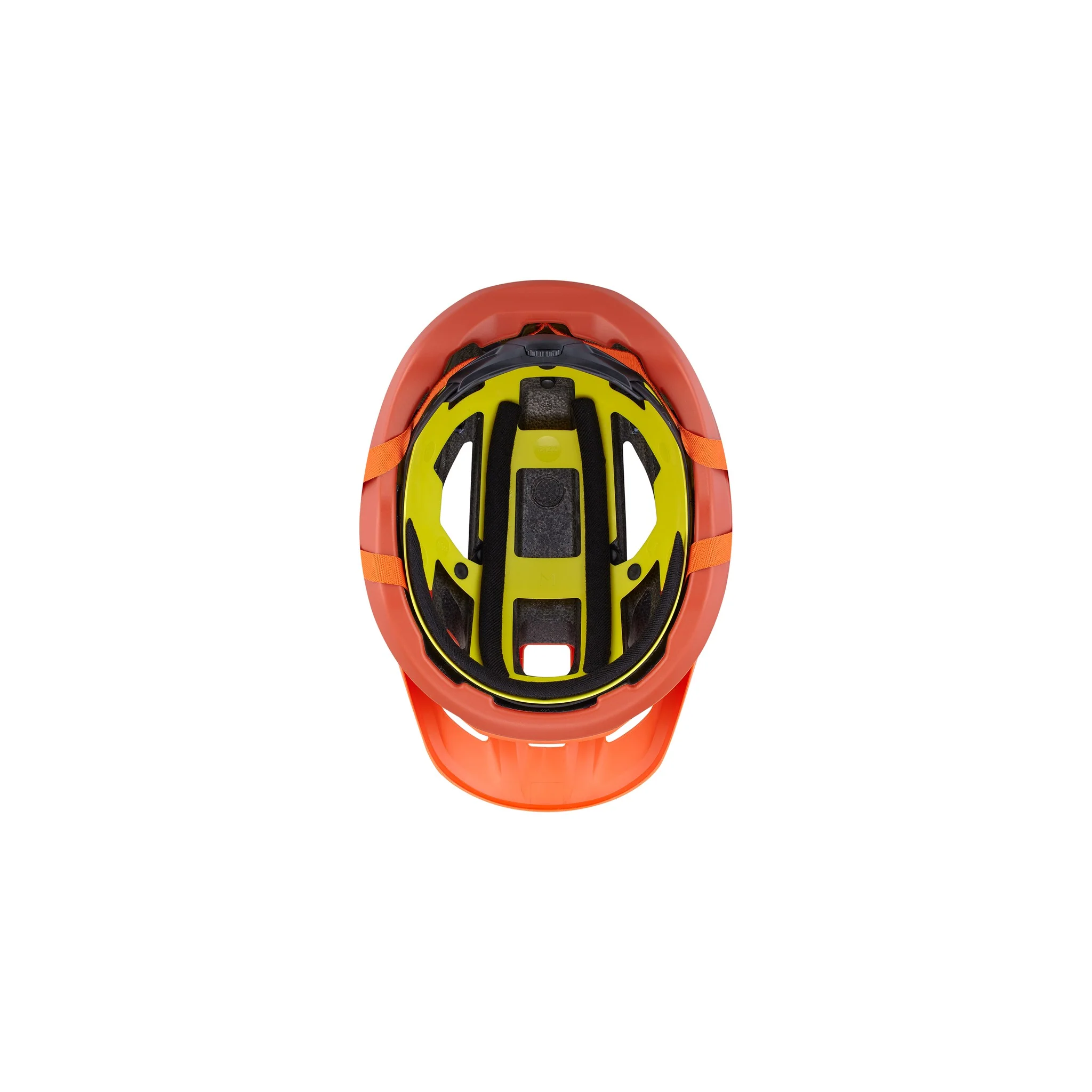 Camber - Image 7