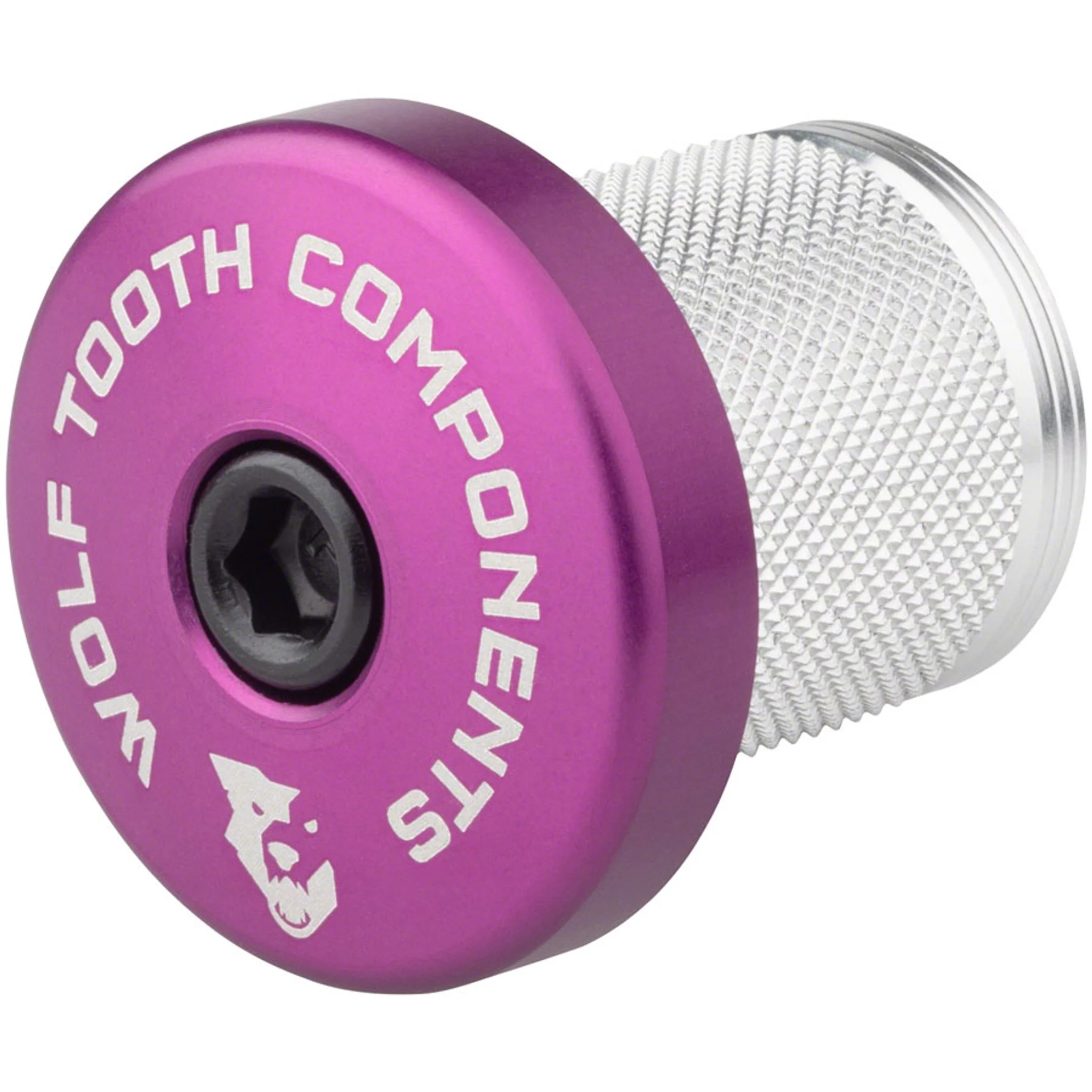 Compression Plug With Integrated Spacer Stem Cap - Image 4