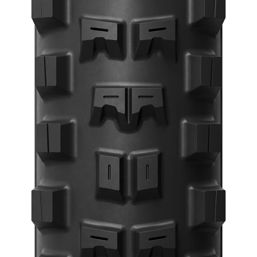 DH16 - Image 6