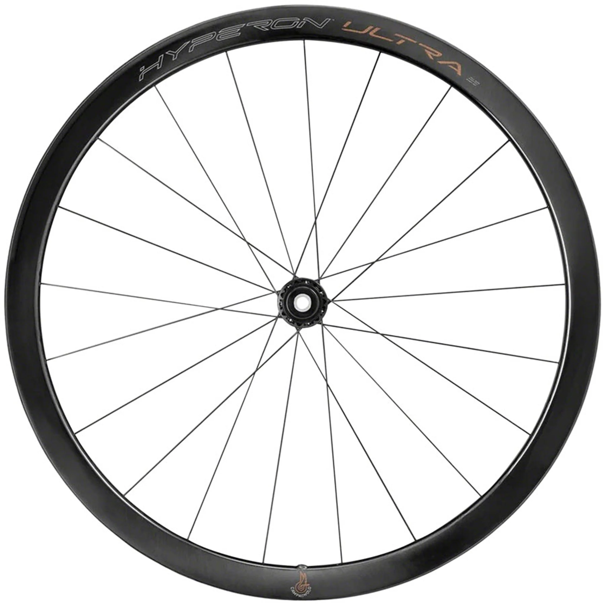 Hyperon Ultra Front Wheel - 700c, 12 x 100mm, Center-Lock, 2-Way Fit, Carbon