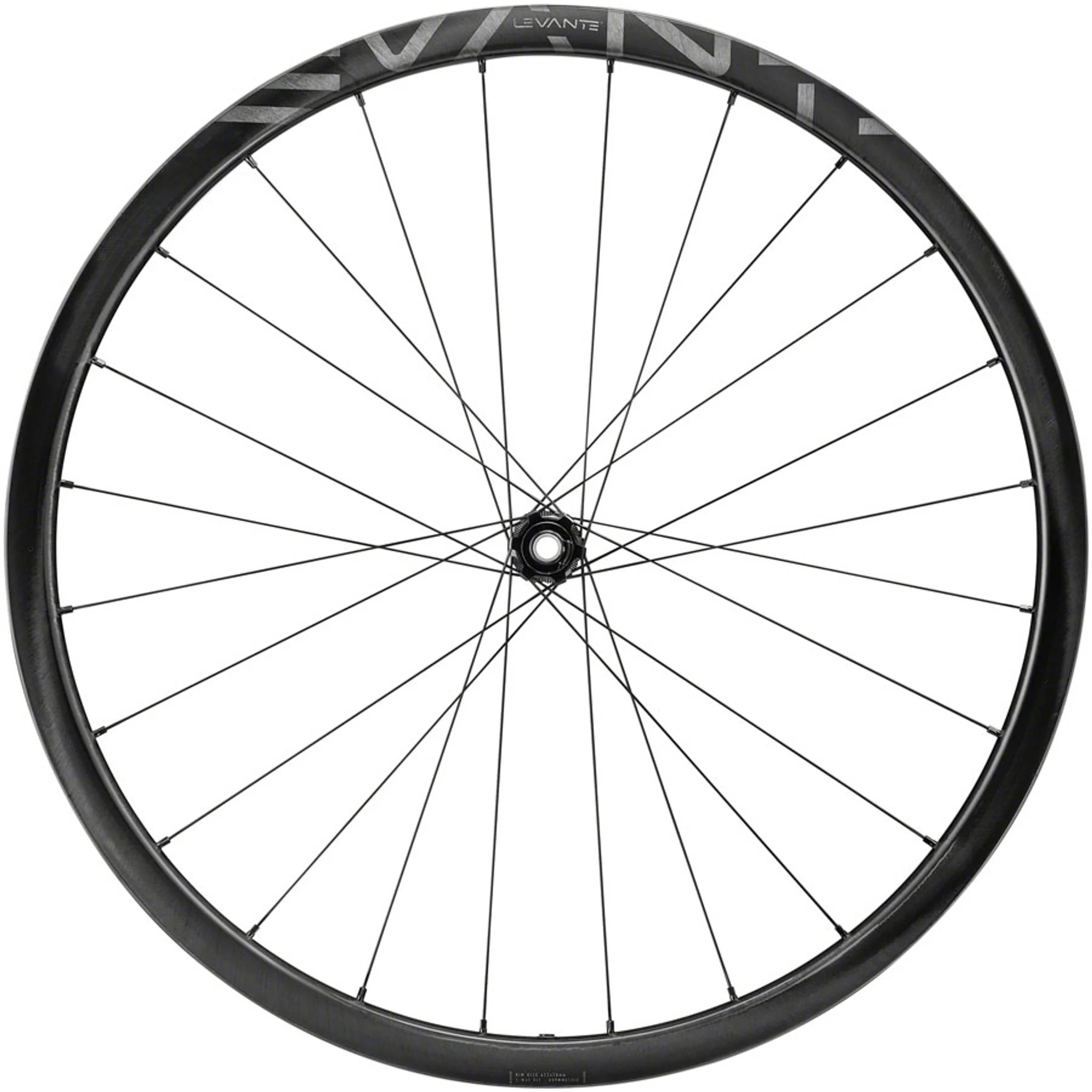 Levante Front Wheel - 700, 12 x 100mm, CenterLock, Black - Image 3