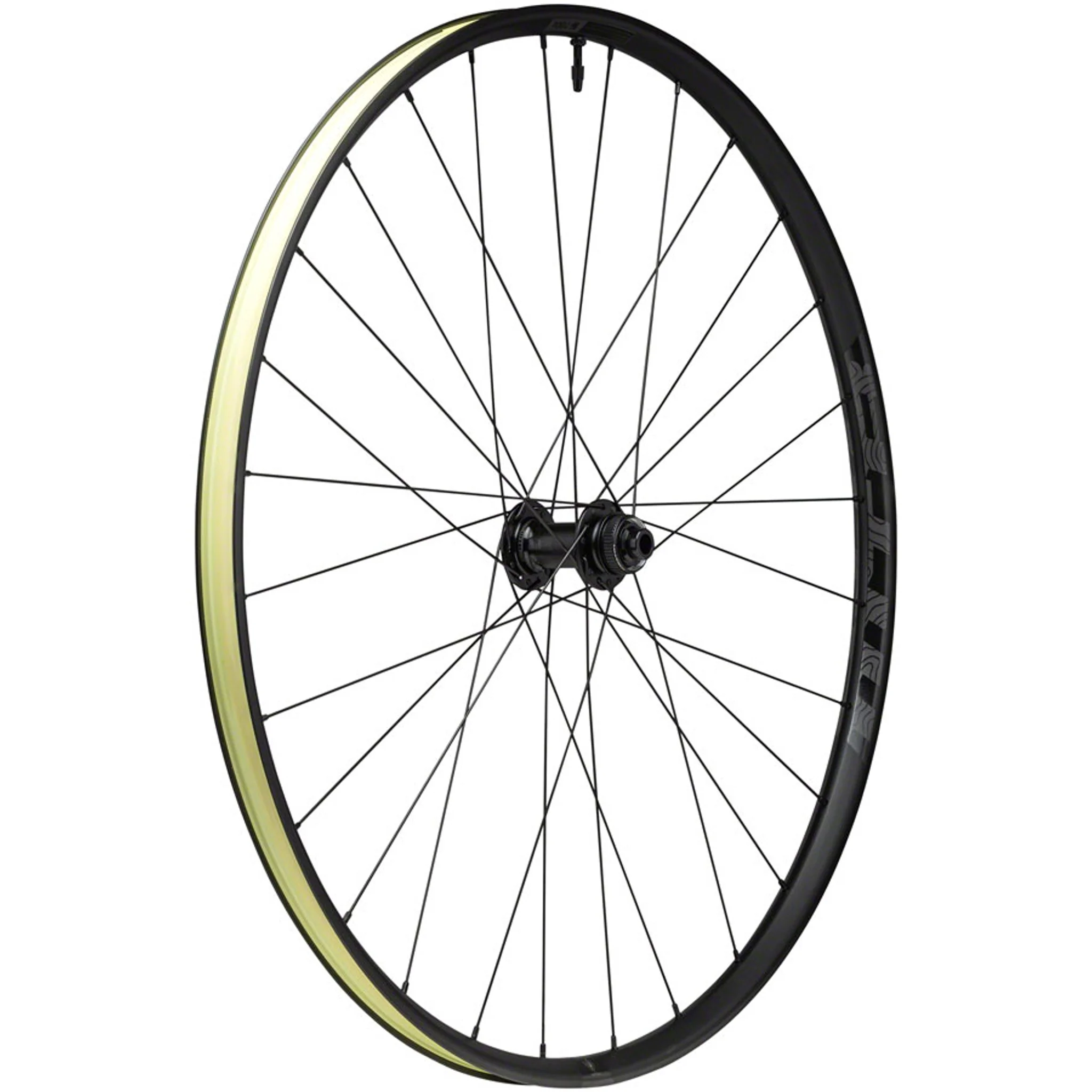 Proterra Light i25 Front Wheel - 700, 12 x 100mm, Center-Lock, Black, 28H - Image 2
