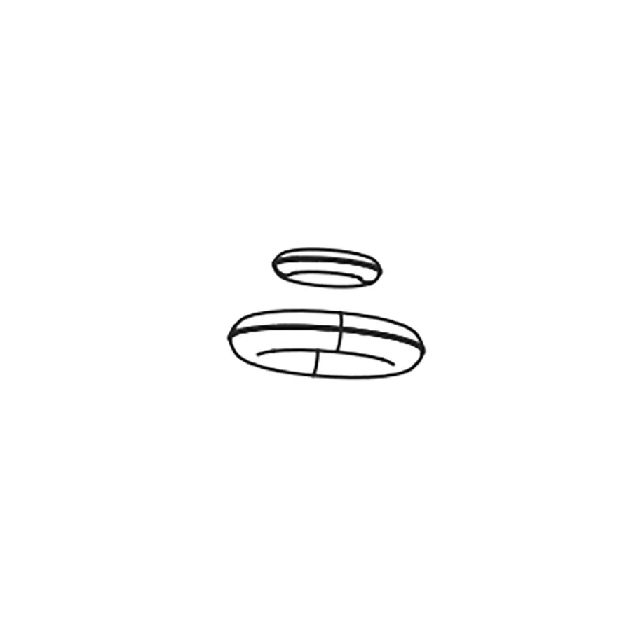Reverb Internal Parts