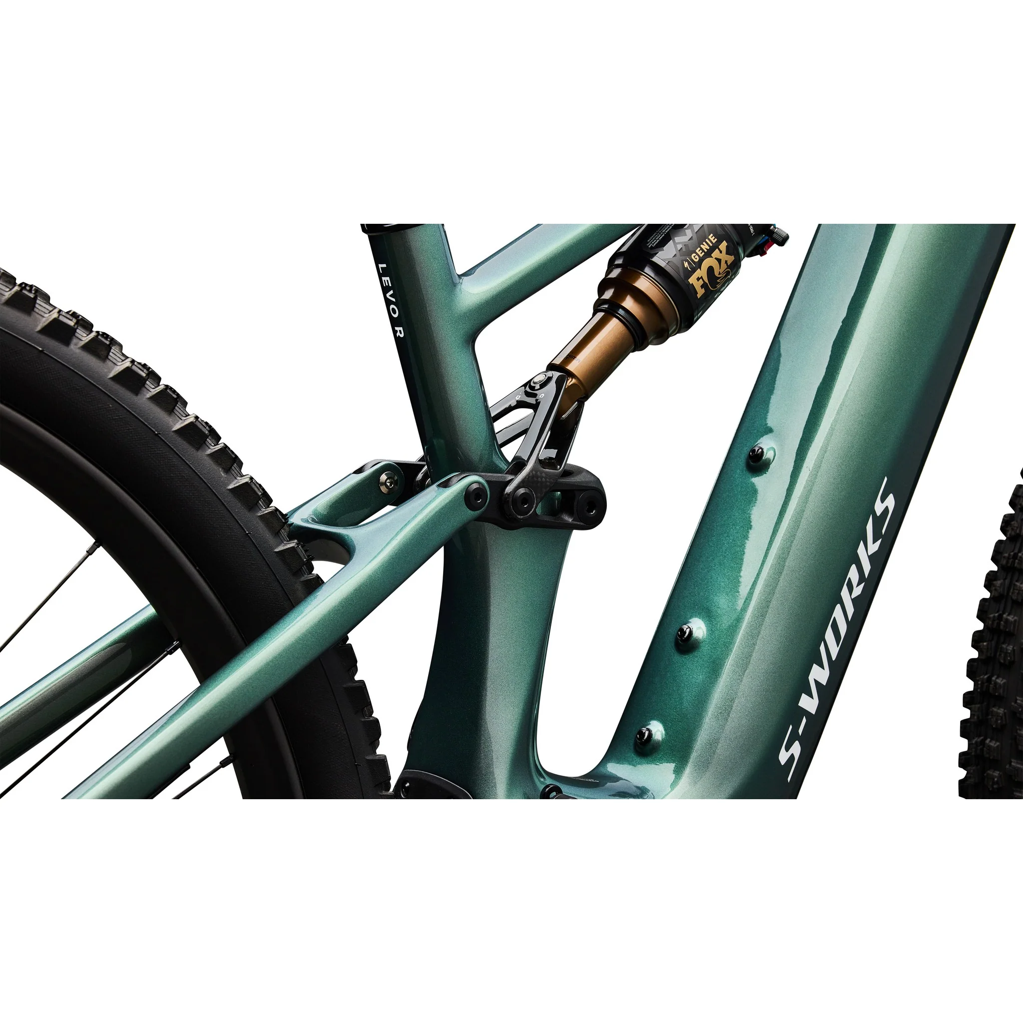S-Works Turbo Levo R - Image 18