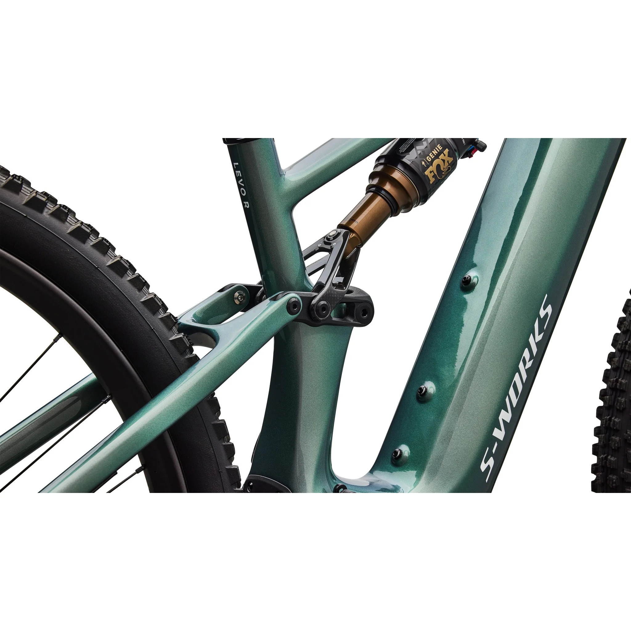S-Works Turbo Levo R - Image 9