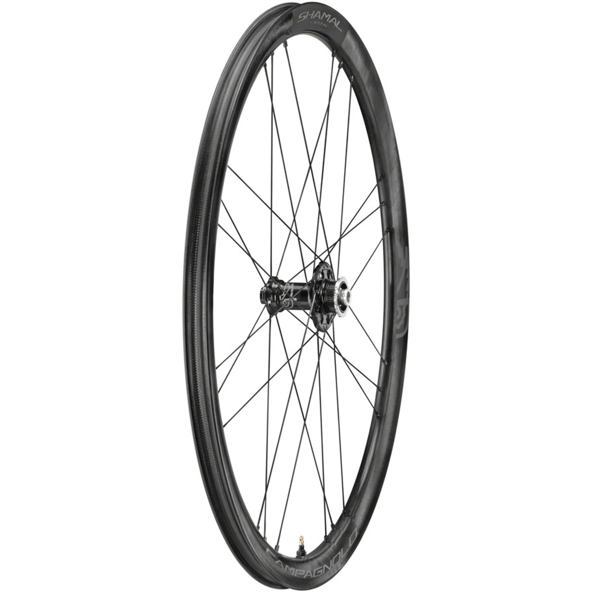 SHAMAL Carbon Disc Front Wheel - 700, 12 x 100mm, Centerlock, Black - Image 2