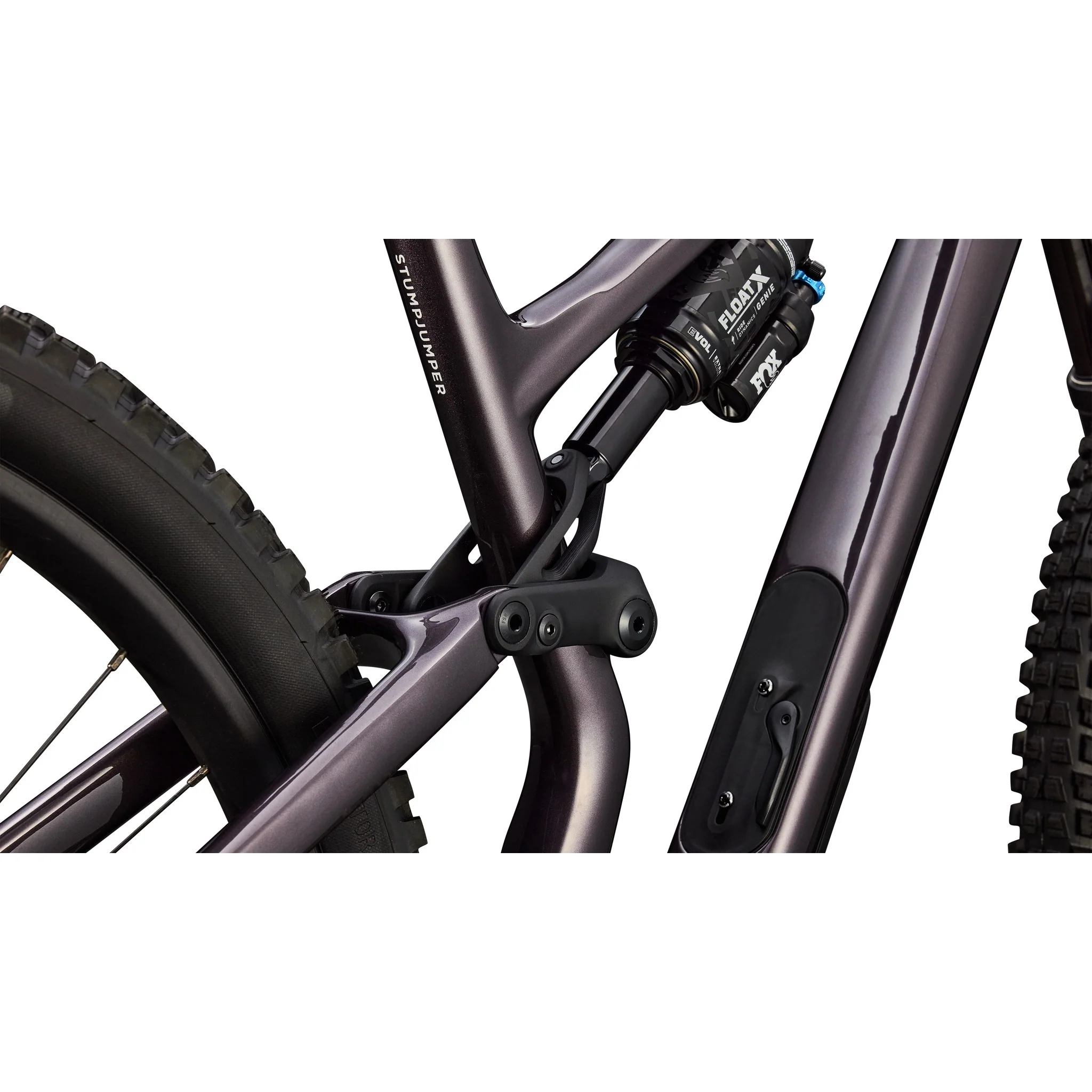 Stumpjumper 15 EVO Expert AXS - Image 6