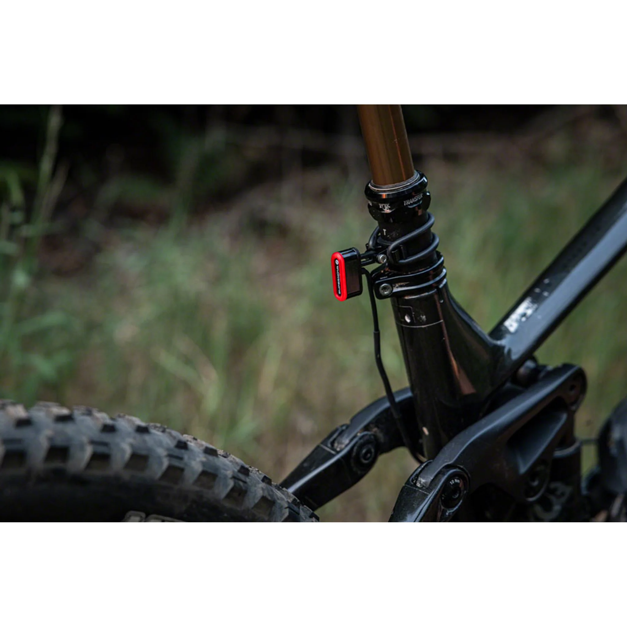 TL3 Mini 6V Seatpost Light - Black - Image 3