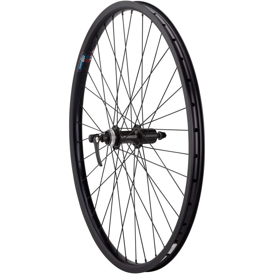 Value HD Series Disc Rear Wheel
