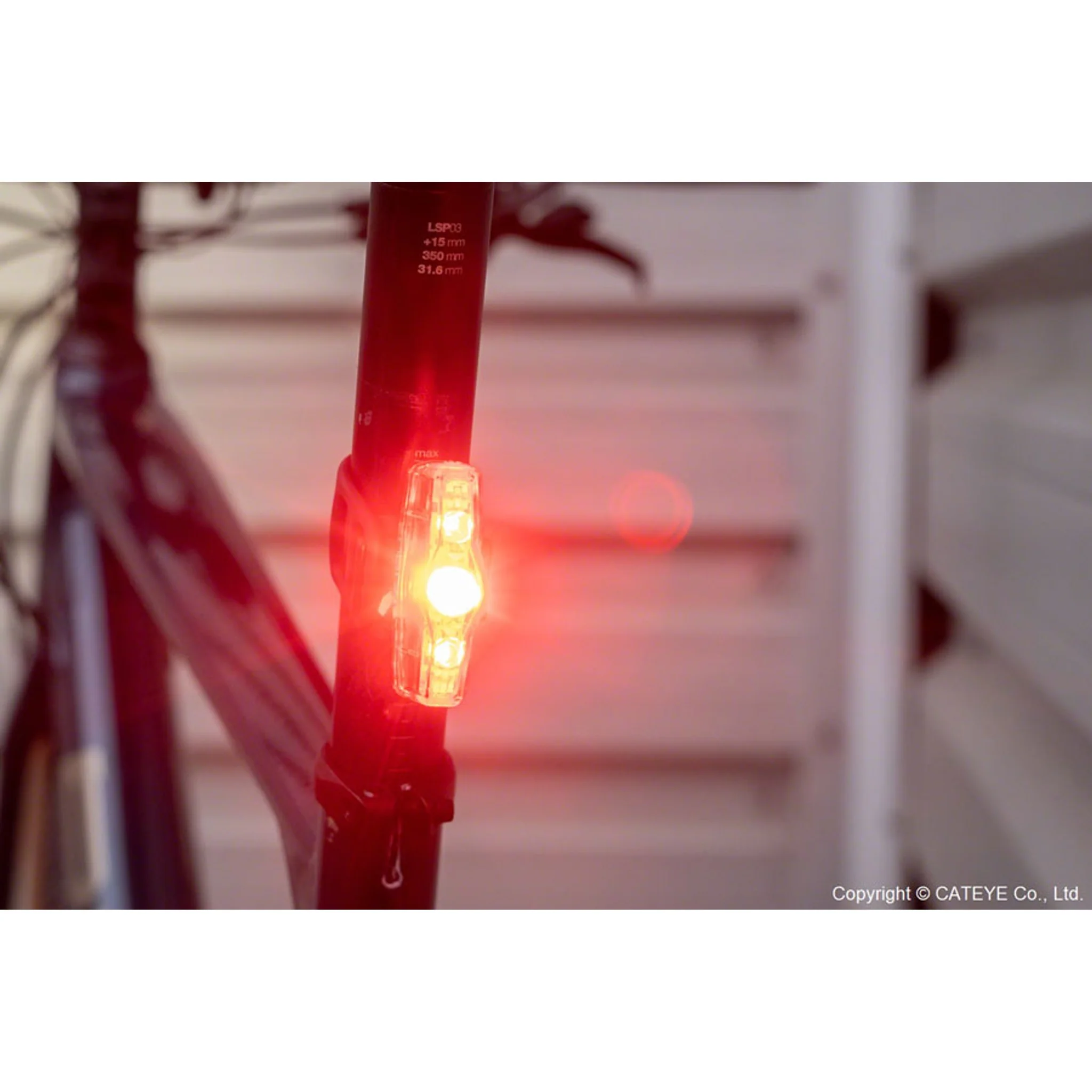 ViZ150 Taillight - Image 4
